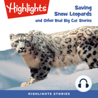 Saving Snow Leopards and Other Real Big Cat Stories