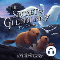 The Secret of Glendunny #2