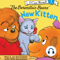 The Berenstain Bears' New Kitten