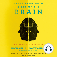 Tales from Both Sides of the Brain