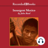 Insurgent Mexico