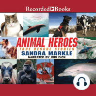 Animal Heroes