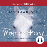 The Winter Pony