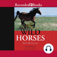 Wild Horses