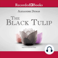 The Black Tulip