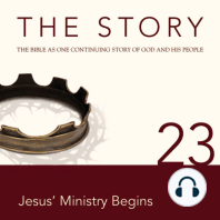 The Story Audio Bible - New International Version, NIV