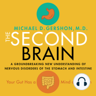 The Second Brain