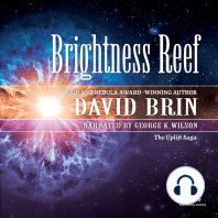 Brightness Reef