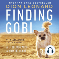 Finding Gobi