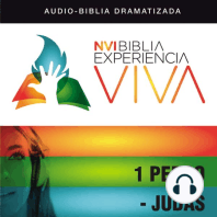 NVI Biblia Experiencia Viva