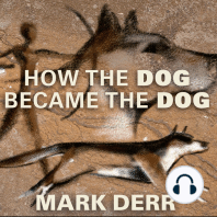 How the Dog Became the Dog