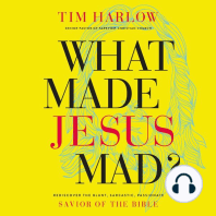 What Made Jesus Mad?