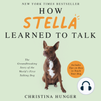 How Stella Learned to Talk