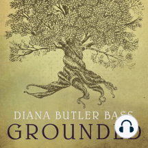 Grounded: Finding God in the World-A Spiritual Revolution