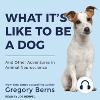 What It's Like to Be a Dog: And Other Adventures in Animal Neuroscience