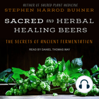 Sacred and Herbal Healing Beers