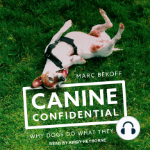 Canine Confidential: Why Dogs Do What They Do
