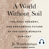 A World Without Soil