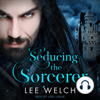 Seducing the Sorcerer