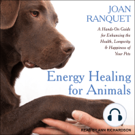 Energy Healing for Animals