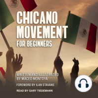 Chicano Movement For Beginners