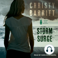 Storm Surge