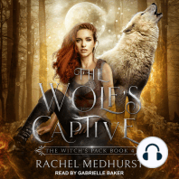 The Wolf's Captive