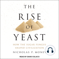 The Rise of Yeast