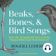 Beaks, Bones, and Bird Songs