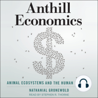 Anthill Economics