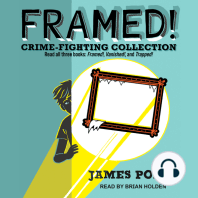 Framed! Crime-Fighting Collection