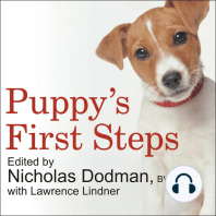 Puppy's First Steps
