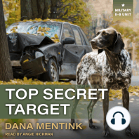 Top Secret Target