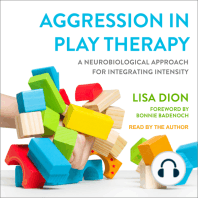 Aggression in Play Therapy