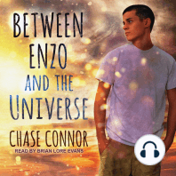 Between Enzo and the Universe