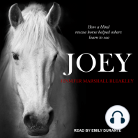 Joey: How a Blind Rescue Horse Helped Others Learn to See