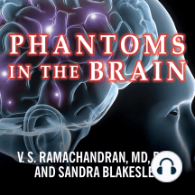 Phantoms in the Brain: Probing the Mysteries of the Human Mind