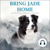 Bring Jade Home