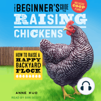 The Beginner's Guide to Raising Chickens