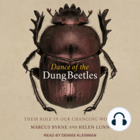 Dance of the Dung Beetles