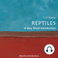 Reptiles