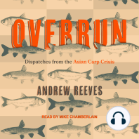 Overrun