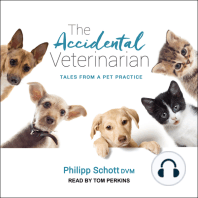 The Accidental Veterinarian