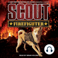 Scout