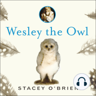 Wesley the Owl