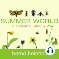 Summer World: A Season of Bounty