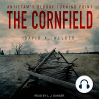 The Cornfield