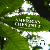 The American Chestnut