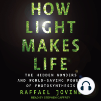 How Light Makes Life