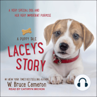 Lacey's Story